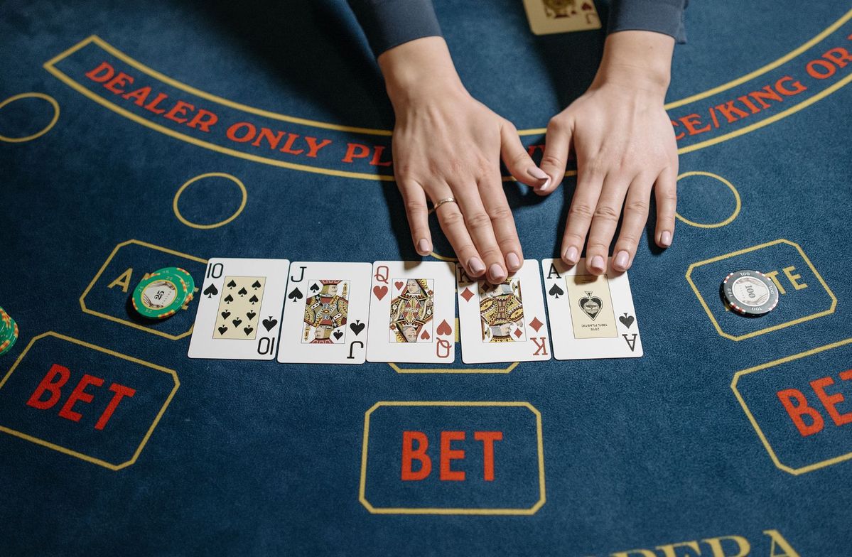 Rich Zoo Slots Live Betting